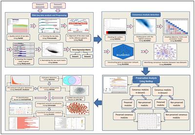 A framework for non-preserved consensus gene module detection in Johne's disease